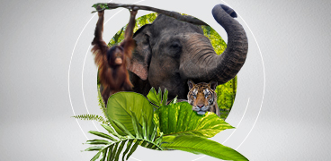 
		Masa Depan Hewan-Hewan Ini Ada di Tangan Kita
		
	