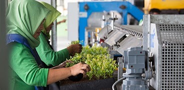 
		Kisah Keberlanjutan Kami: Mengapa dan Bagaimana Kami Peduli Terhadap Lingkungan
		
	