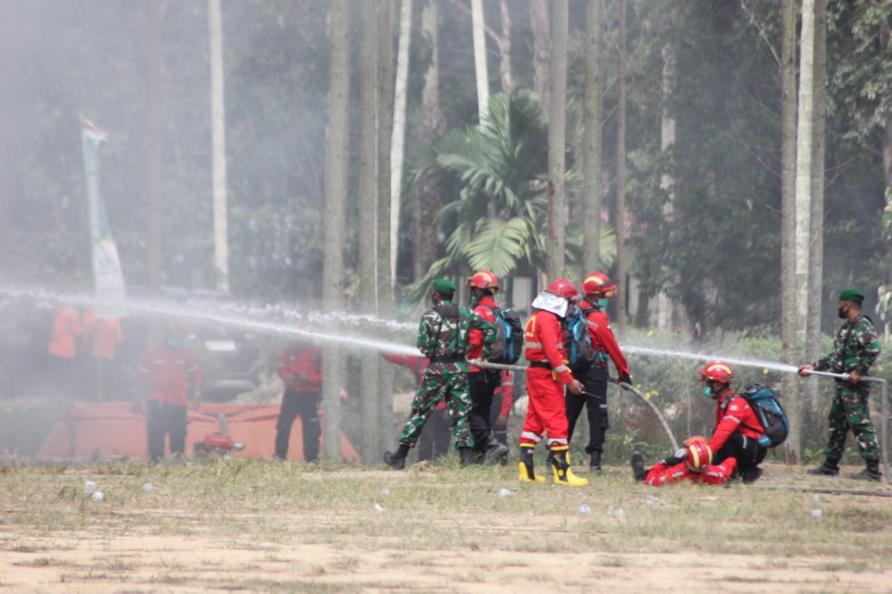 APP Sinar Mas effort to prevent forest fire in South Sumatra