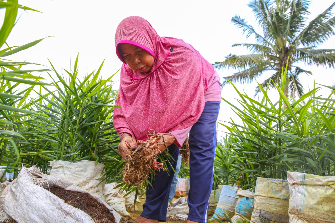 Peran Perempuan dalam Pengelolaan Hutan di Tengah Pandemi