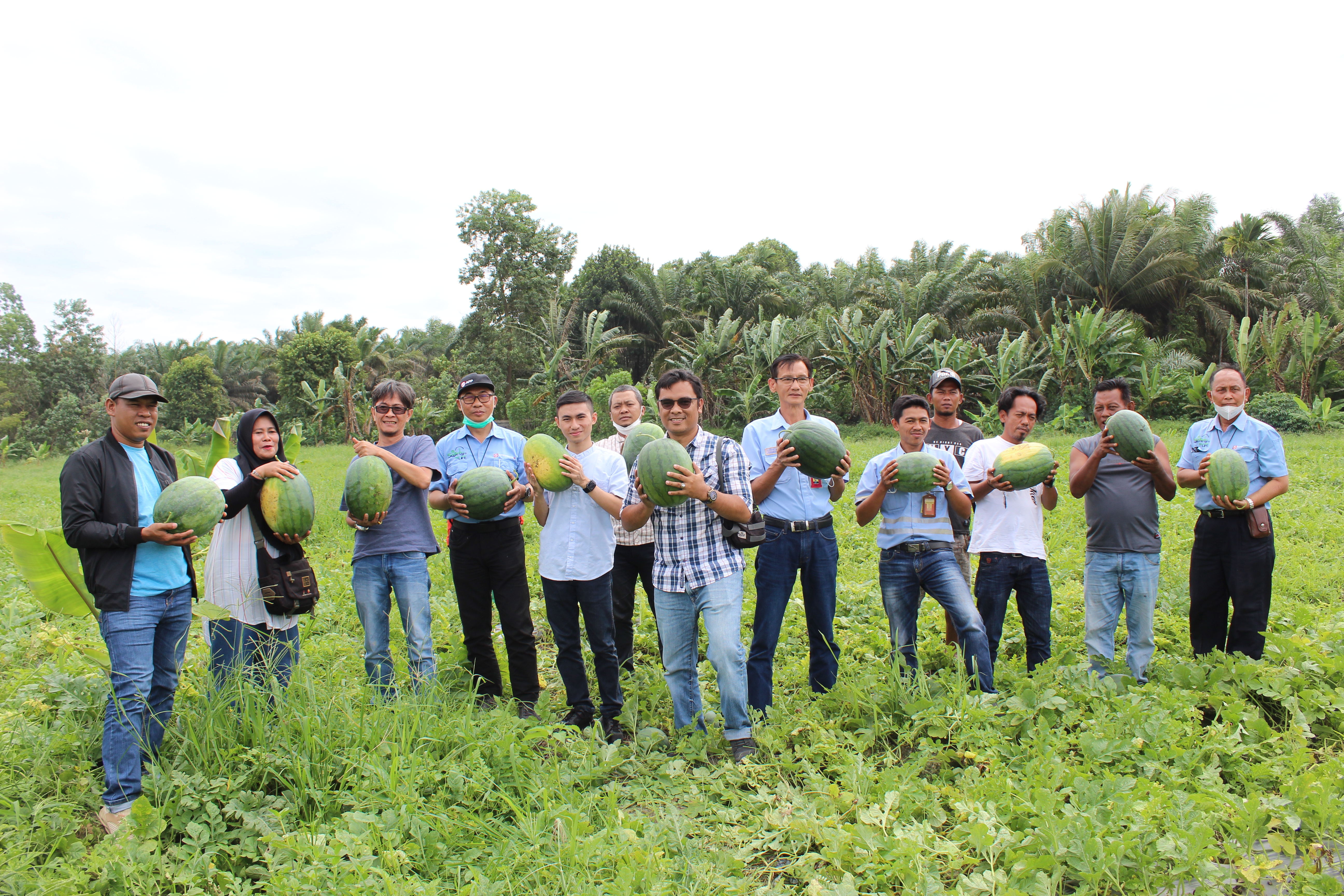 APP Sinar Mas Activity Recap November 2022