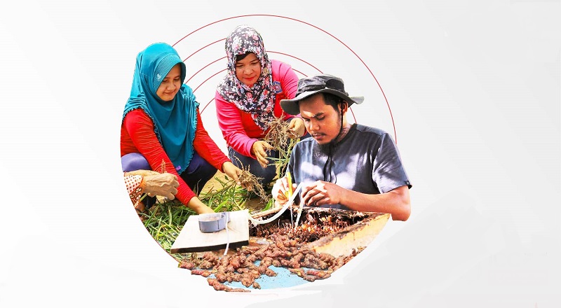 Produk DMPA APP Sinar Mas Laku Keras di tengah Pandemi