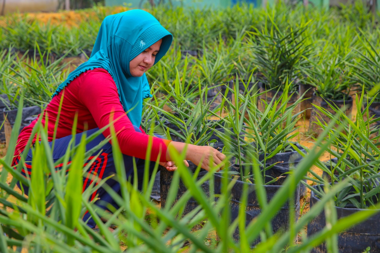 82 Tahun Sinar Mas Berkarya Untuk Indonesia