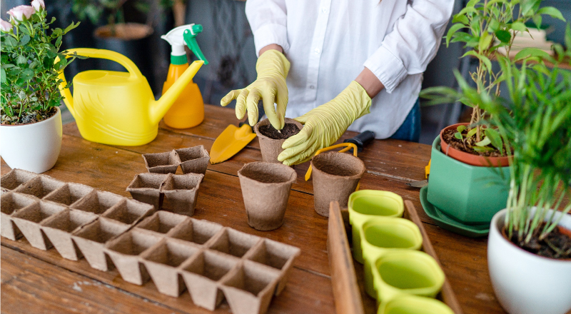 
		
		
		
		
		
		
		
		
		Ayo Mulai Berkebun di Rumah!
		
	