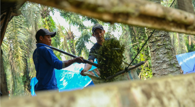 Inovasi UMKM Tetap Berjaya di Tengah Pandemi