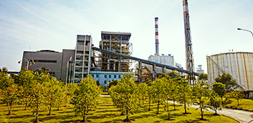 
		Pohon: Solusi untuk Masalah Emisi Global Kita?
		
	