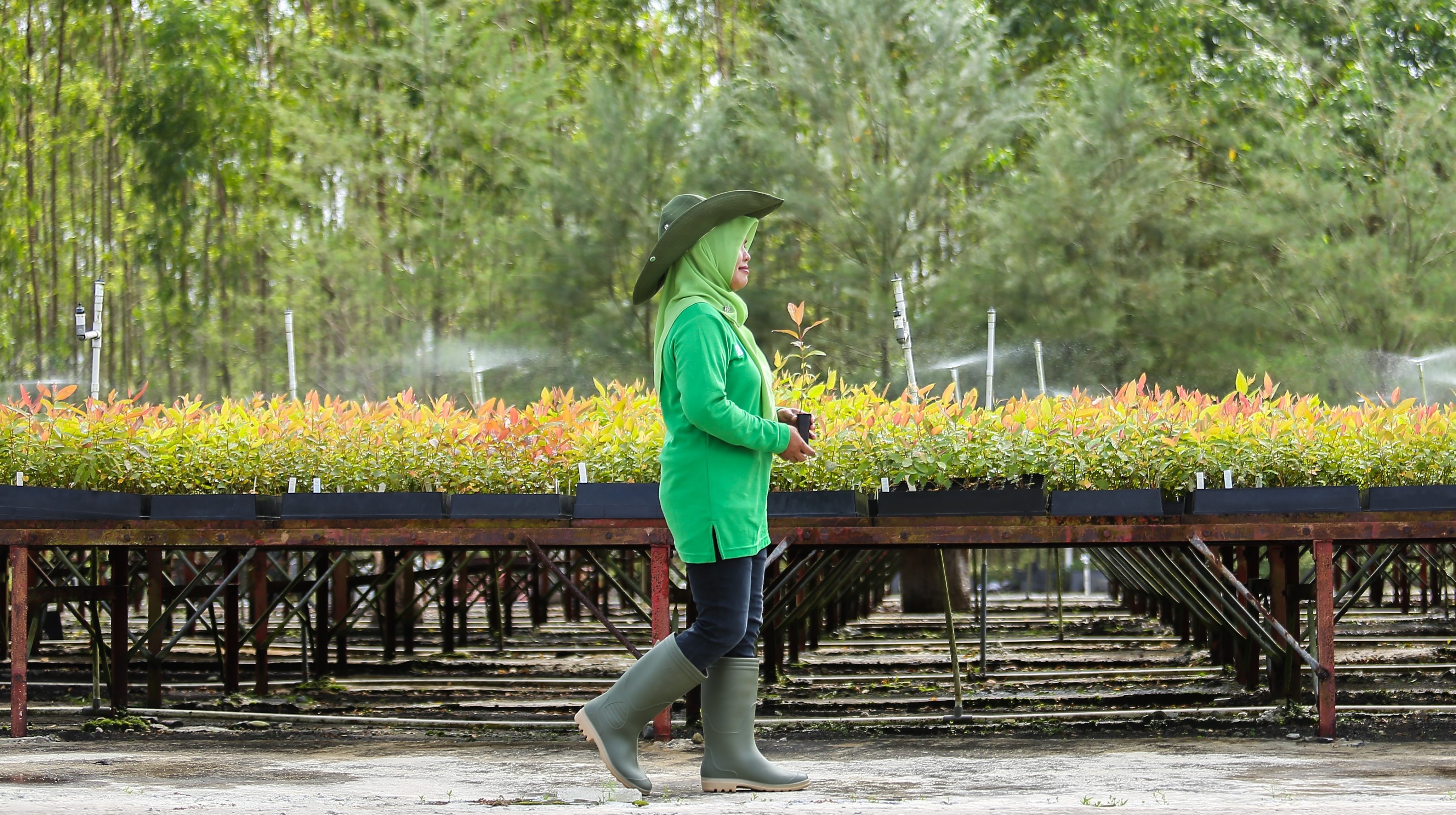 
		APP Resmi Bergabung dengan Forest Positive Coalition
		
	