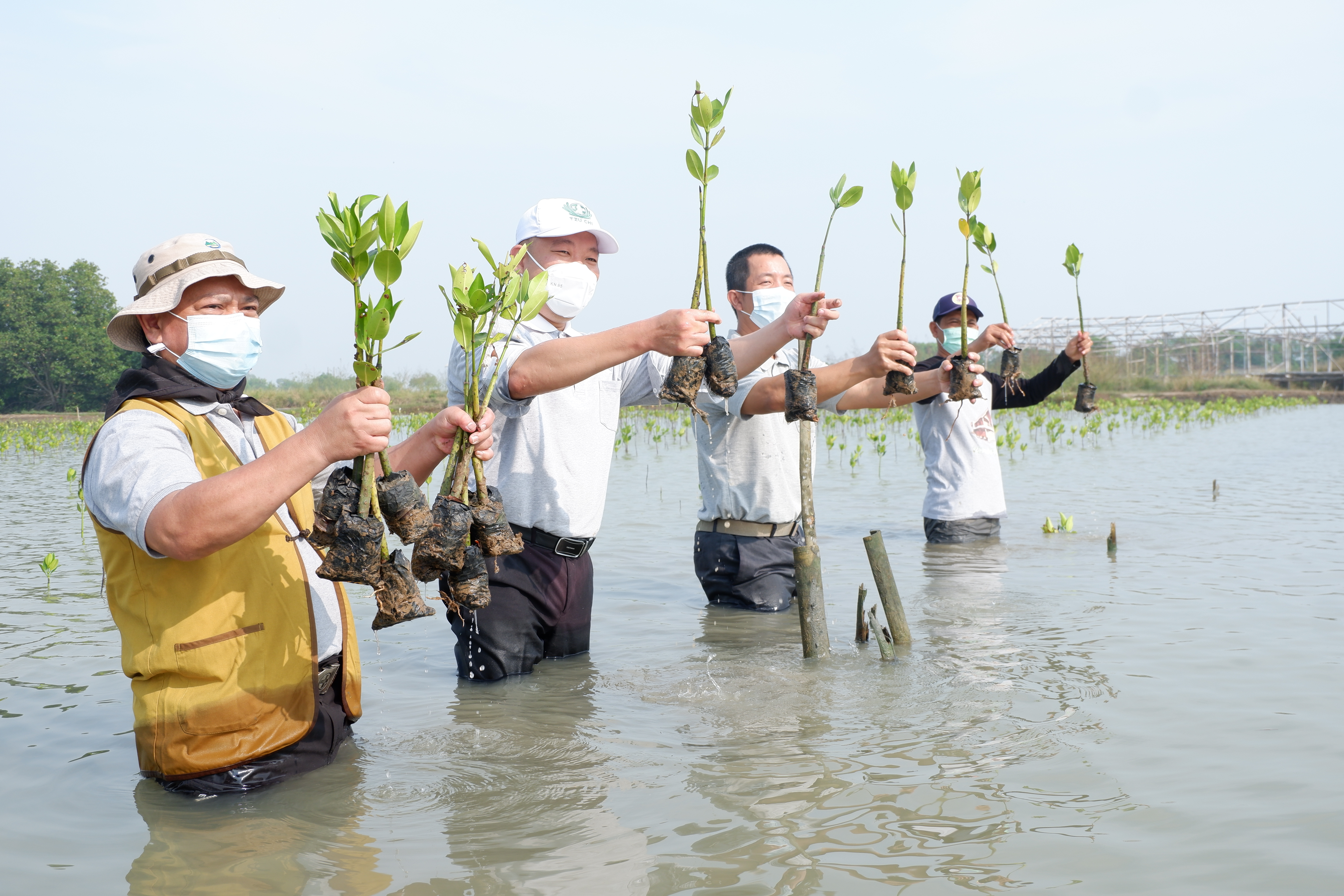 
		Kabar CSR APP Sinar Mas
		
	