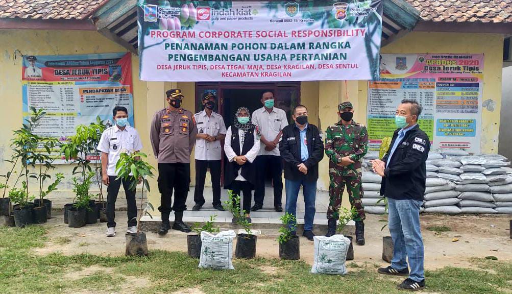 Rangkuman Kegiatan Mills dan Forestry November