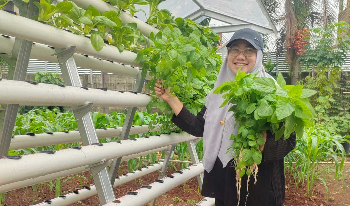 
		Dari hobi hingga panen: 