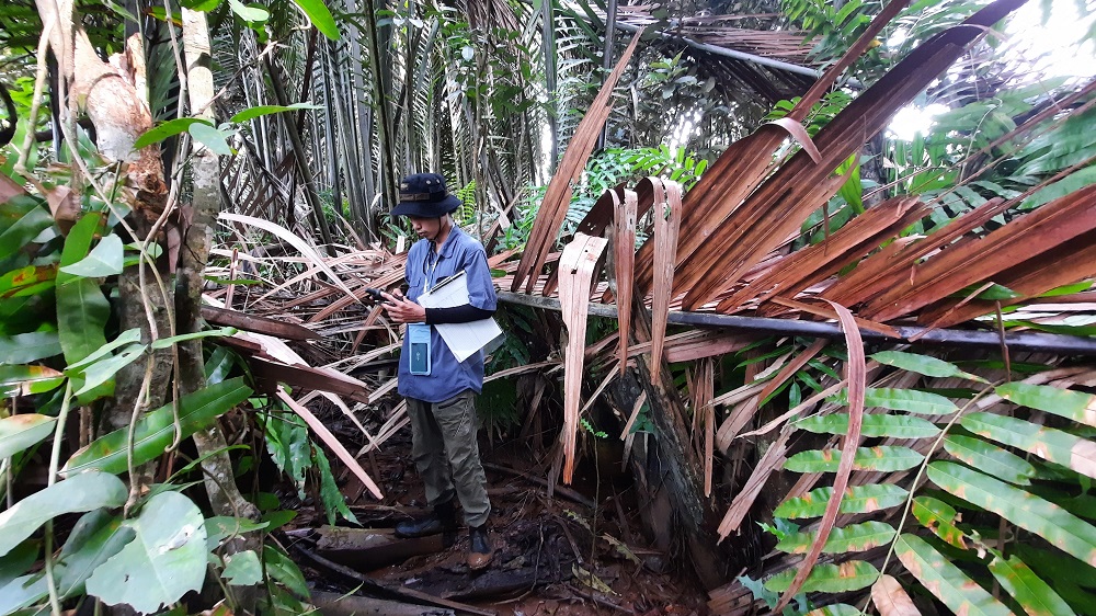 
		Pengembangan rencana pengelolaan pesisir terpadu di Ogan Komering Ilir
		
	