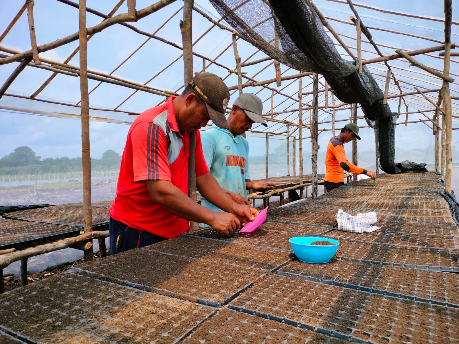 
		Bekerja Sama untuk Mengurangi Ketergantungan pada Pembalakan Liar
		
	