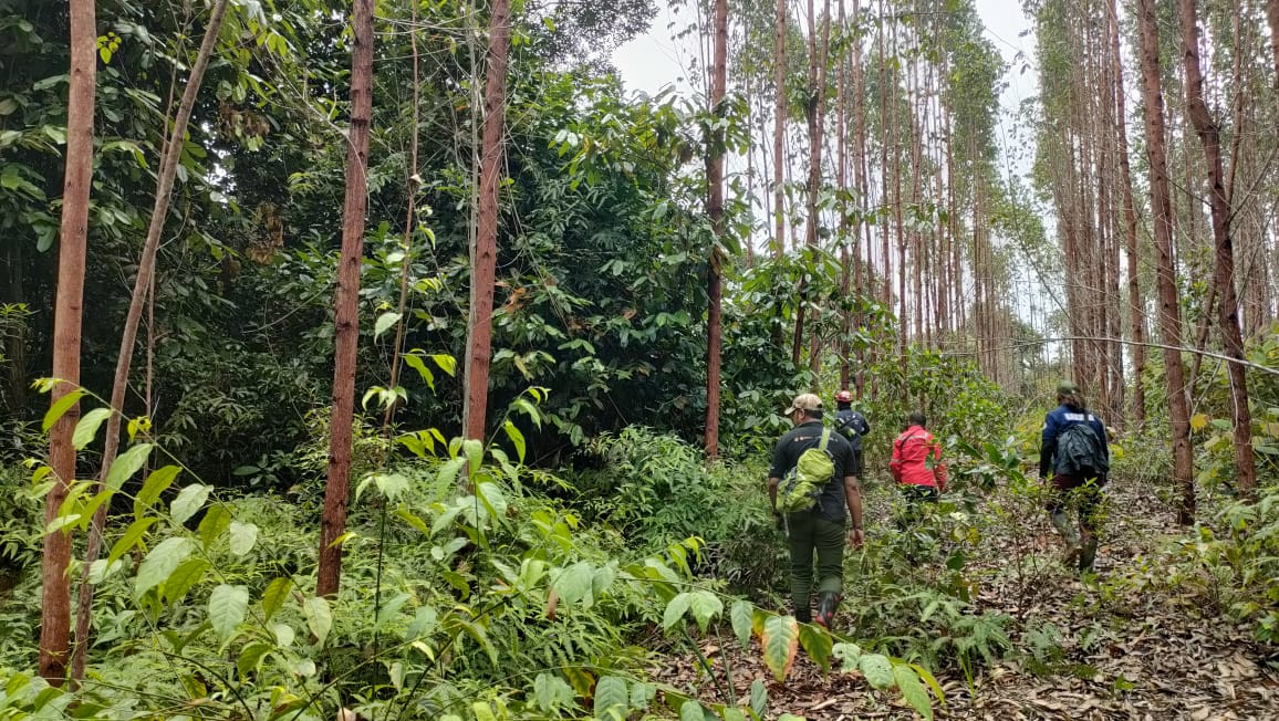 
		Operasi Sisir Jerat: Menghapus jerat yang mencekik hutan Indonesia
		
	