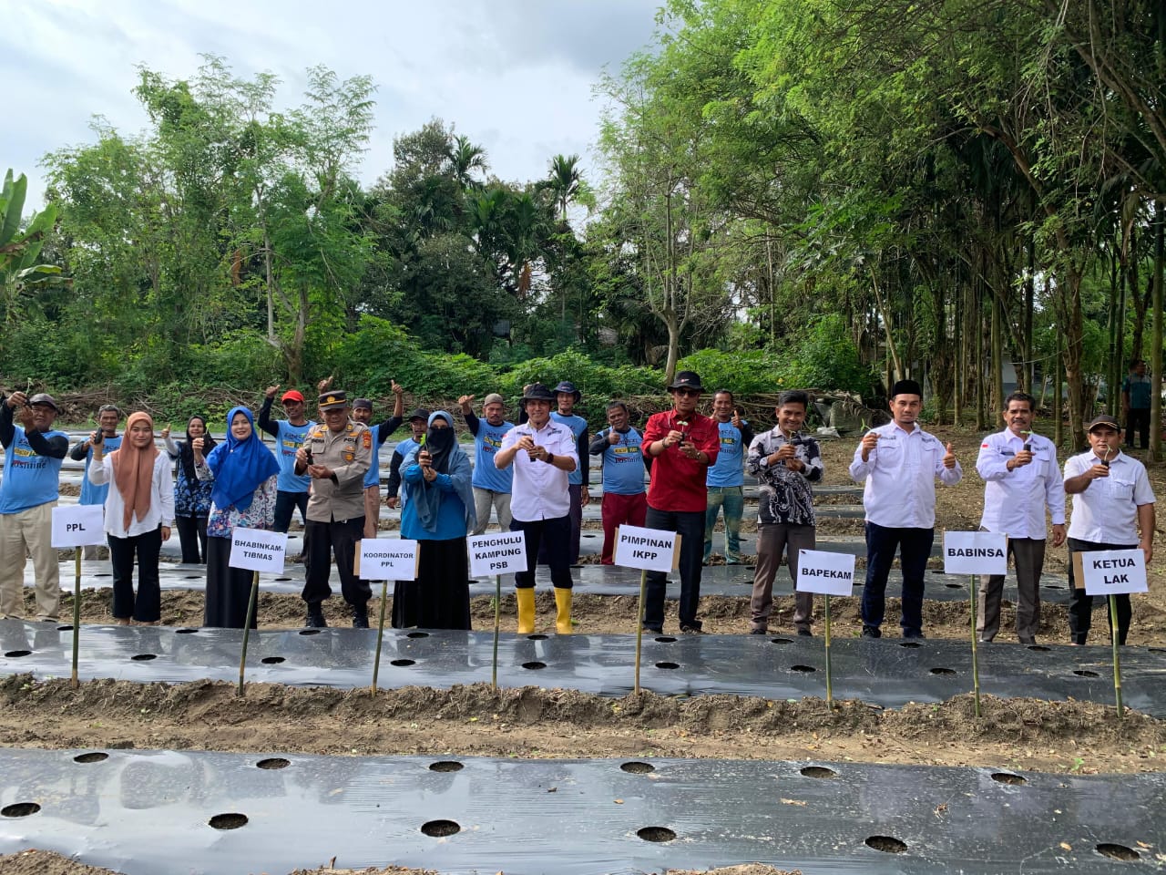 
		PT IKPP - Perawang Mill Dukung Perekonomian Petani Kampung Pinang Sebatang Barat Melalui Program Hortikultura
		
	