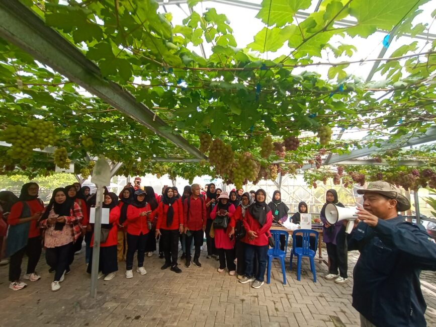 Rangkuman Kegiatan APP Agustus 2025