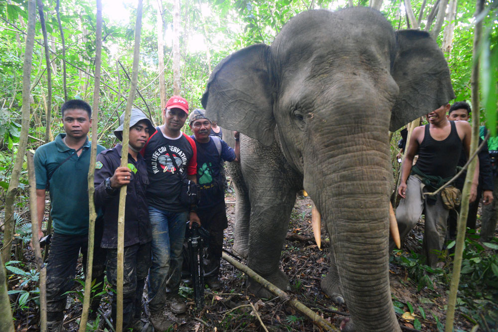 
		Program Konservasi yang Membantu Manusia Hidup Damai dengan Satwa Liar
		
	