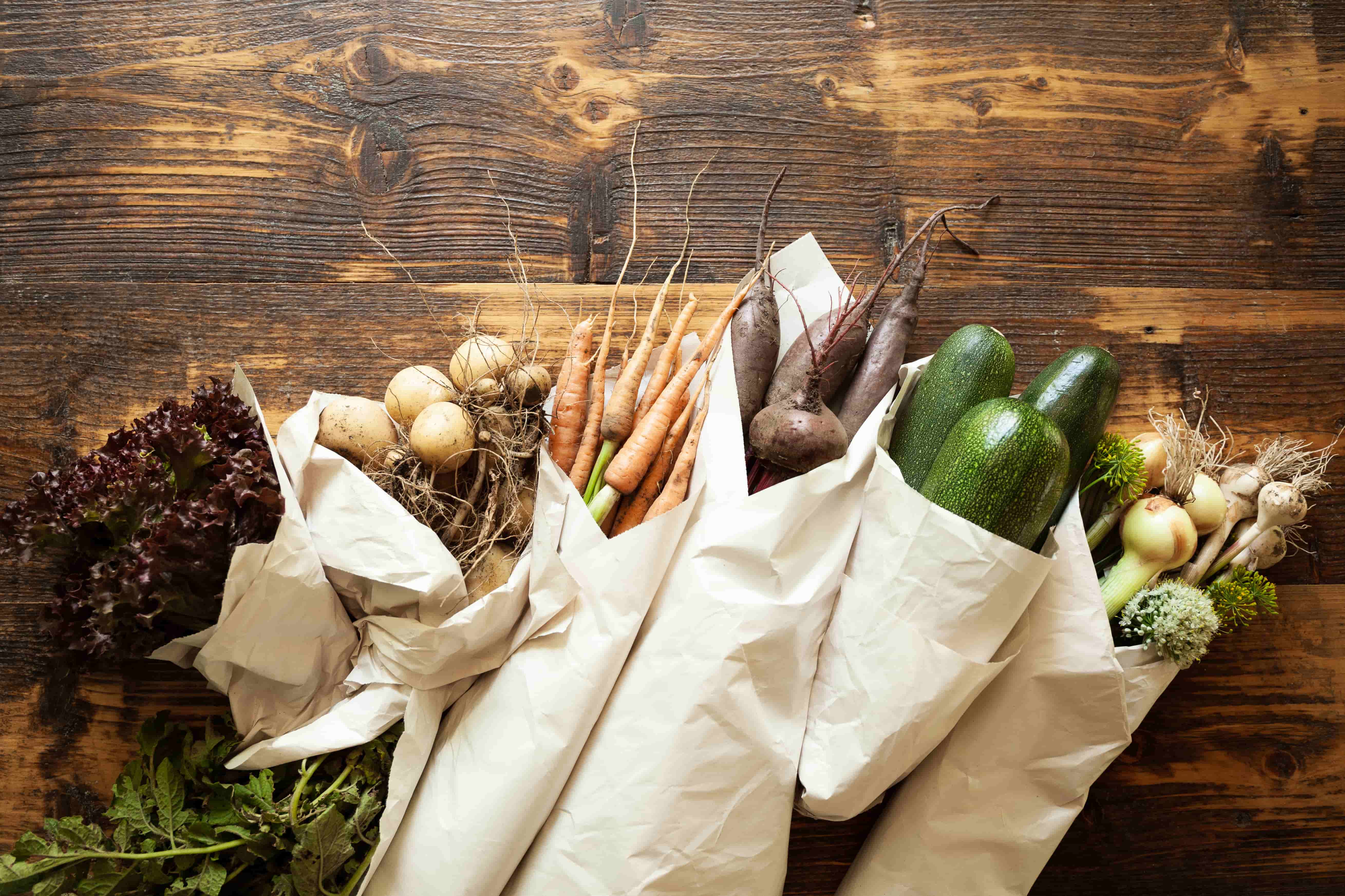 
		Gaya Hidup Tanpa Sampah: Bagaimana Memulainya?
		
	