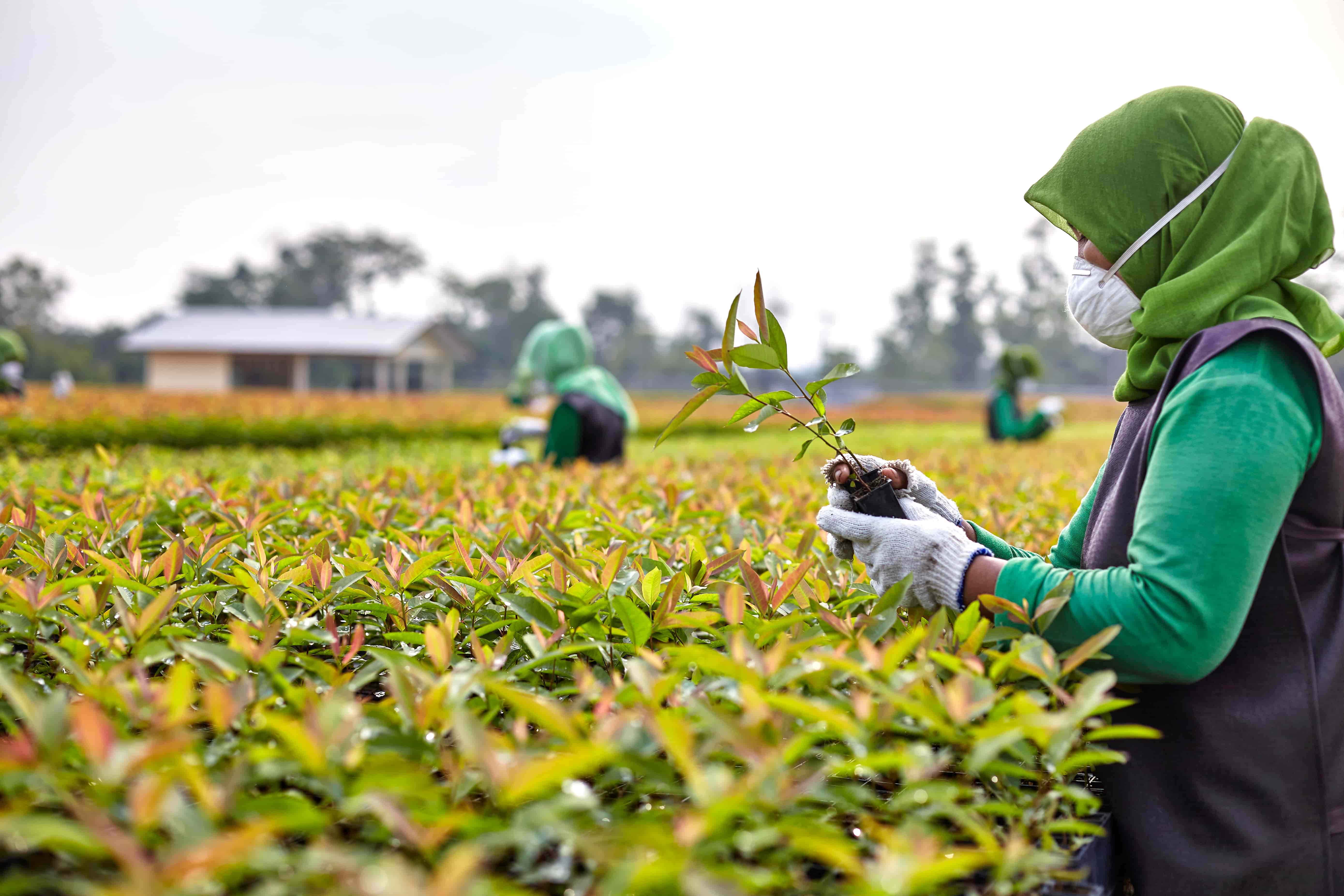 
		Mengembangkan Masa Depan Kita
		
	