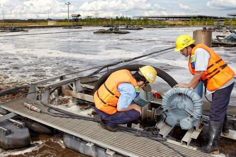 Sustainability Perawang